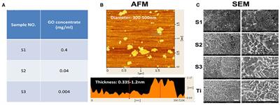 Graphene-Modified Titanium Surface Enhances Local Growth Factor Adsorption and Promotes Osteogenic Differentiation of Bone Marrow Stromal Cells